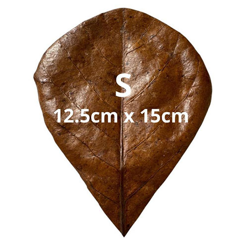 Produk Catappa Leaves_0001_Catappa Leaves 2 Produk Catappa Leaves_0001_Catappa Leaves 2