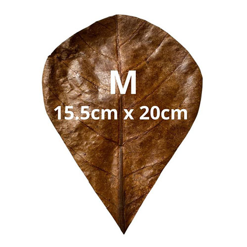 Produk Catappa Leaves_0002_Catappa Leaves 3 Produk Catappa Leaves_0002_Catappa Leaves 3